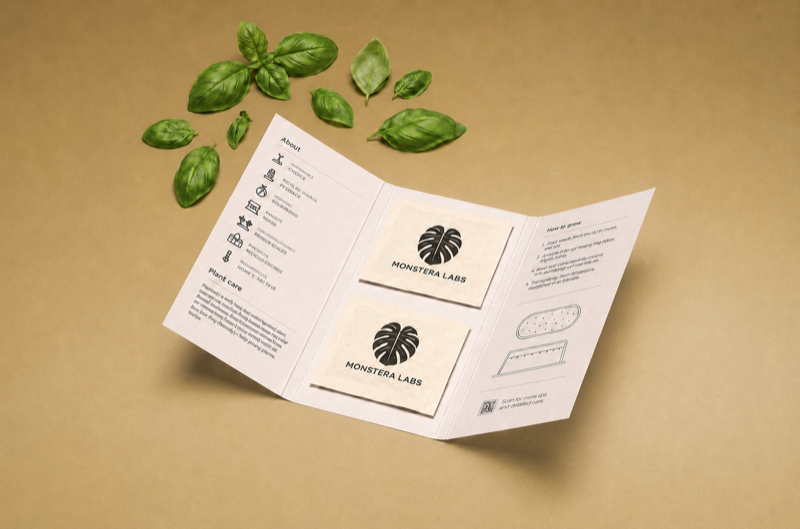 Basil seeds